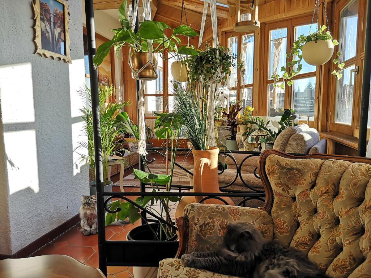 Edel Weiss Gaestezimmer Furstenstein ภายนอก รูปภาพ